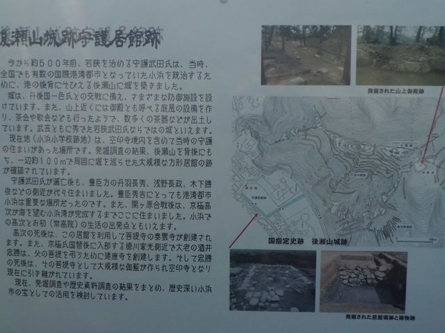 �ዷ���c�����ِՉ����_���