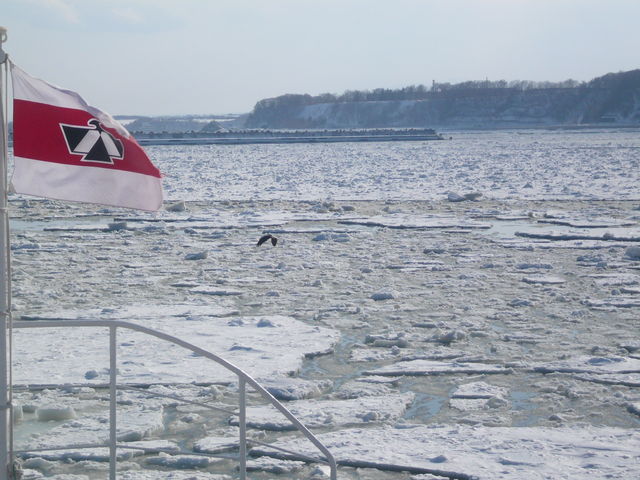 �ό��D���[��獆����̌i�F�B_�I�z�[�c�N�C�̗��X