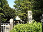 N񂳂̓iVcˁj̓eʐ^1