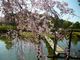 モコさんの千葉公園の投稿写真1