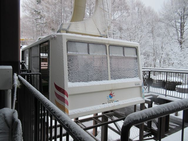 �x�[���R�[�w�ɂ�
�}�C�i�X�R�����炢�ł���_�����}�E���e�����]�[�g