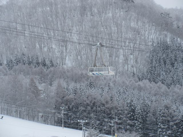 �Q�����f�����Q�O�����ɒʉ߂��܂��B_�����}�E���e�����]�[�g