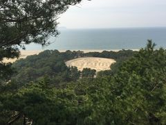 salmȃK`Guiʕvւ̓eʐ^1