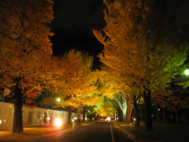 ���C�g�A�b�v���ꂽ�Ƃ���B������ꂢ�ł��B_�k��C�`���E����