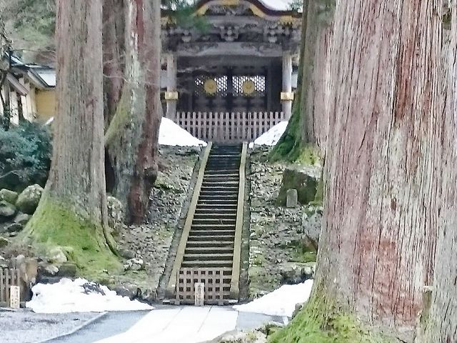 �����@��{�R�i����