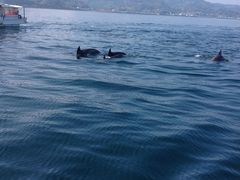 肩̓쓇CJEHb`Oւ̓eʐ^1