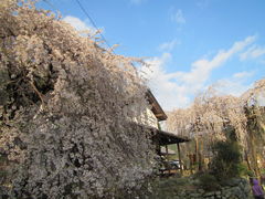 ミルさんの宝蔵寺（奈良県東吉野村）の投稿写真1