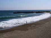 ڂ񂳂̔MYOUr[`̓eʐ^1