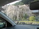 ミルさんの宝蔵寺（奈良県東吉野村）の投稿写真2