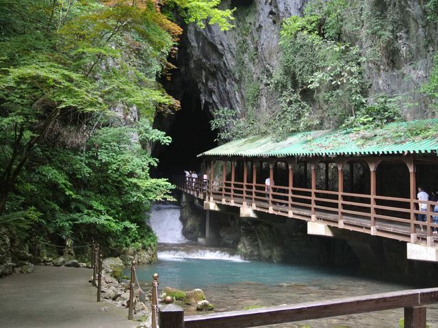 �v���Ă������傫�ȏߓ����ł����B
�T���R�[�X���ʔ��������ł��B_�H�g��J���X�g�W�]��