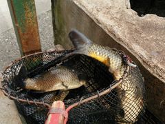 邢邢̎sJtBbVZ^[ւ̓eʐ^1