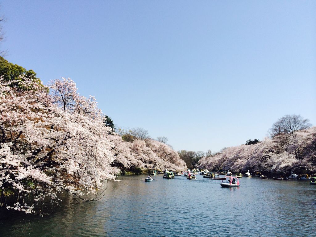 井の頭恩賜公園