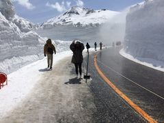 Ƃ񂳂̗RAy[gyxRzւ̓eʐ^1