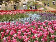 TERU̒WHE킶O[ق̓eʐ^1