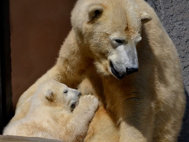 ����ƁE�E�E�E�E_�~�R������