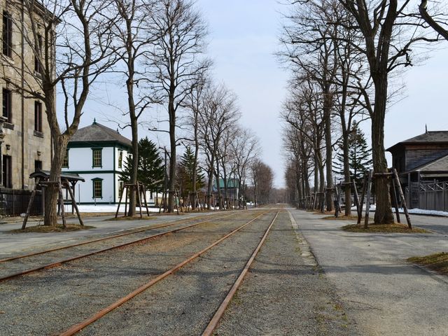 �n�ԓS���ʂ�_�k�C���J��̑�