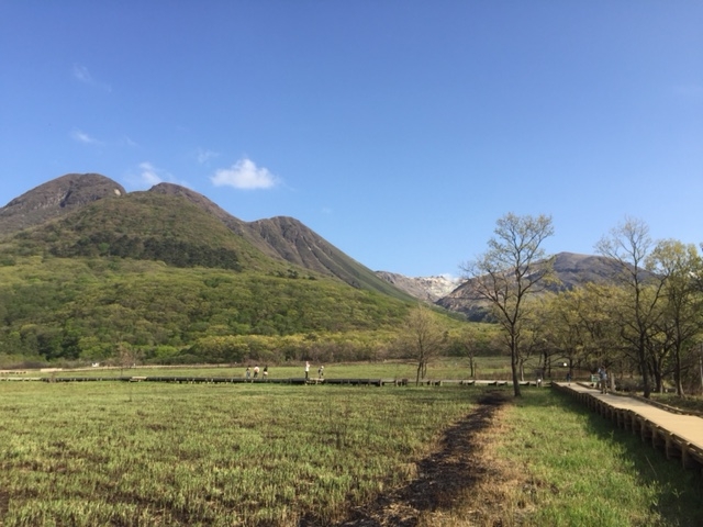 �V�΂ɐ���I�C���������I_���Ҍ����R�����H