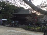 ������pg����̌��R���^������̓��e�ʐ^1