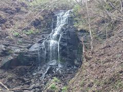 ZAVI̍c삷uˌւ̓eʐ^2