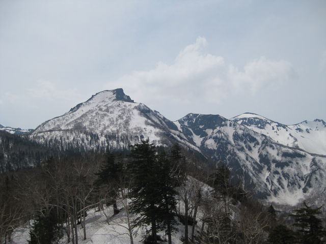 �Y��Ȃ�_���R�i���x�j