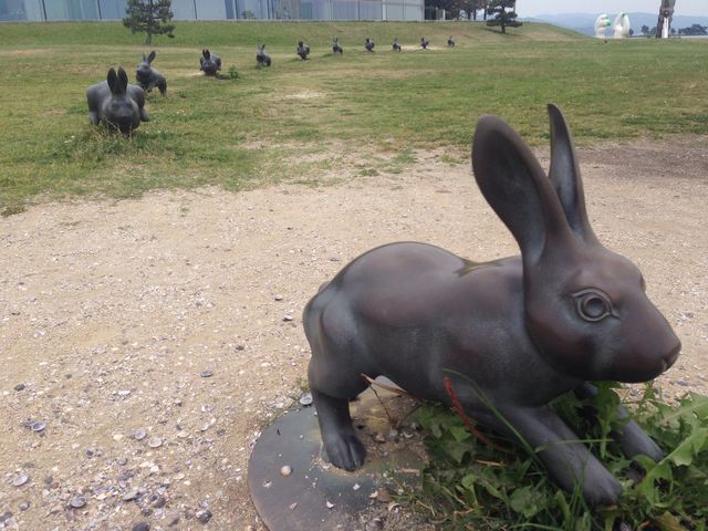 �����������p��