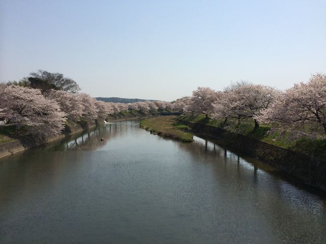 �璹��������