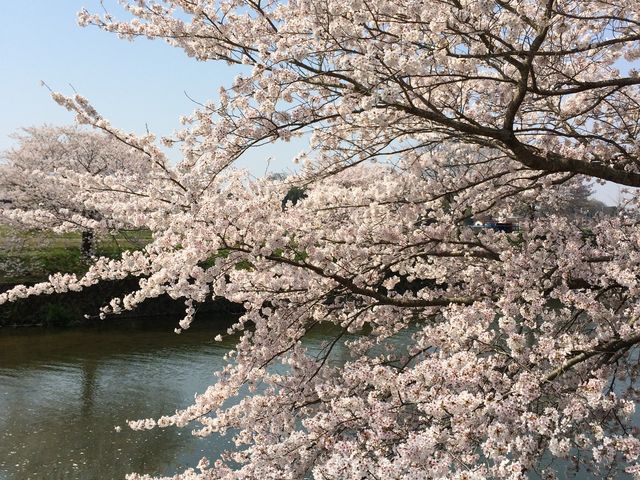 �璹��������