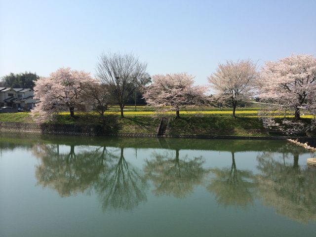 �璹��������