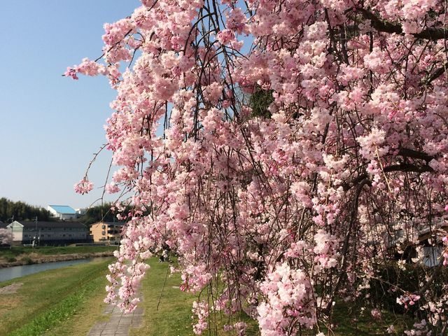 �璹��������