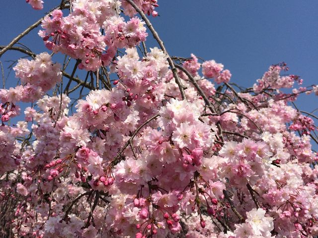 �璹��������