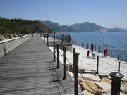 ����҂�����̊��P�l�C������̓��e�ʐ^2