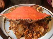 Jk[CXg̃Xg ALIJ AKIOKA̓eʐ^1