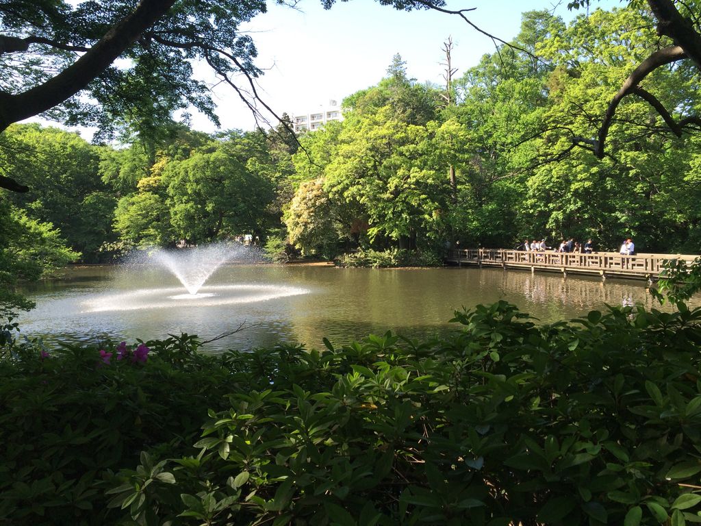 井の頭恩賜公園