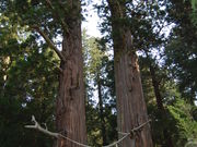 chimatsủĈzK_Ђ̉XM[XM̓eʐ^1