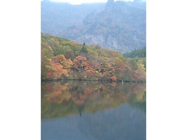 �K���P�[�̎ʐ^�̂��߁A�F�̓C�}�C�`�ł����B_���r