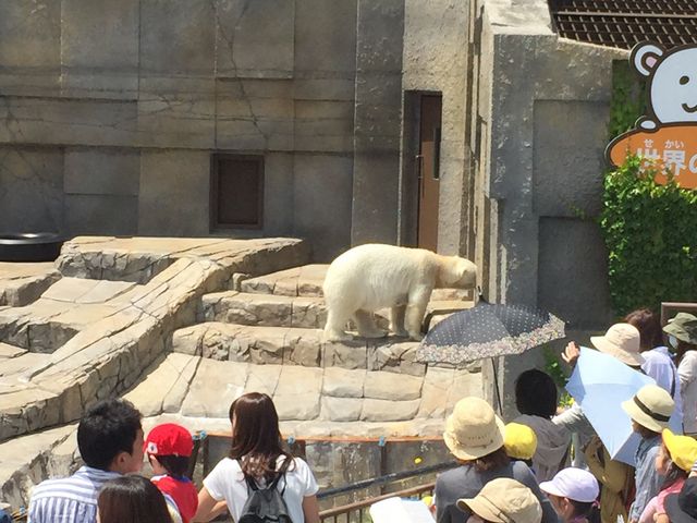 �z�b�L���N�O�}_�~�R������