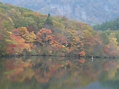 鏡池の写真一覧 - じゃらんnet