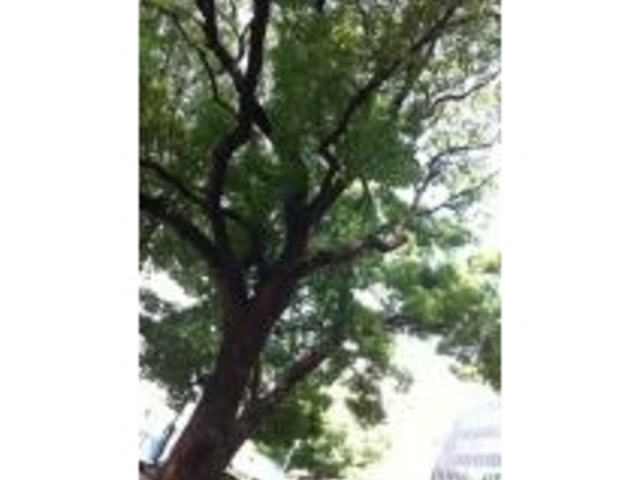 �Ō����y�ё��㎛�����̍�