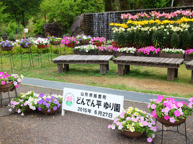 いいでどんでん平ゆり園】アクセス・営業時間・料金情報