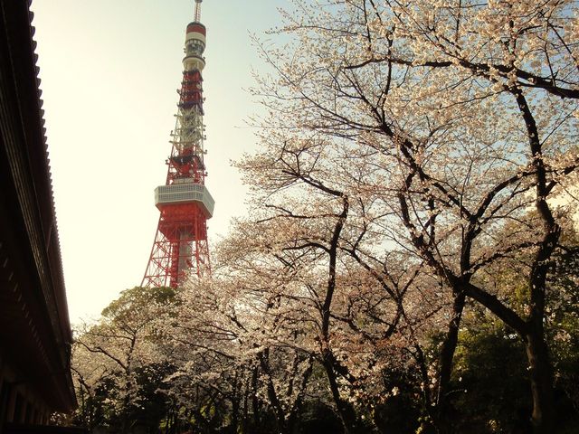 �Ō����y�ё��㎛�����̍�