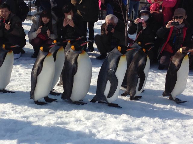 ���R������