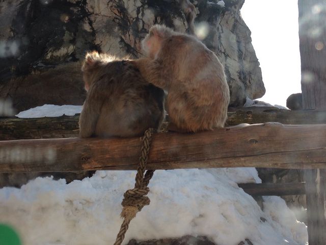 ���R������