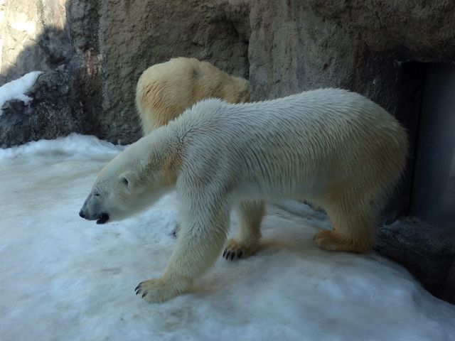 ���R������