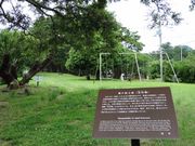 zin����̋e�P�l�y�ہi�����j�̓��e�ʐ^2