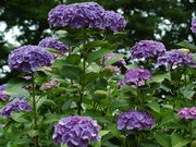 񂳂̌얀RAWTC̓eʐ^1