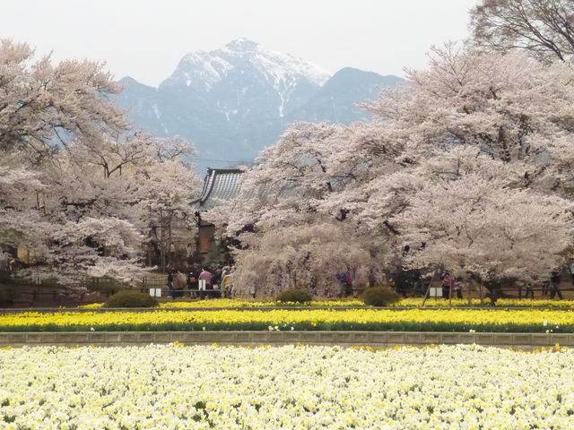 �^�}�g������̎������̓��e�ʐ^1