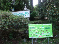 直ちゃんさんの昭和の森天城グリーンガーデンの投稿写真3
