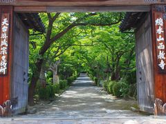 西教寺（滋賀県大津市）の写真一覧 - じゃらんnet