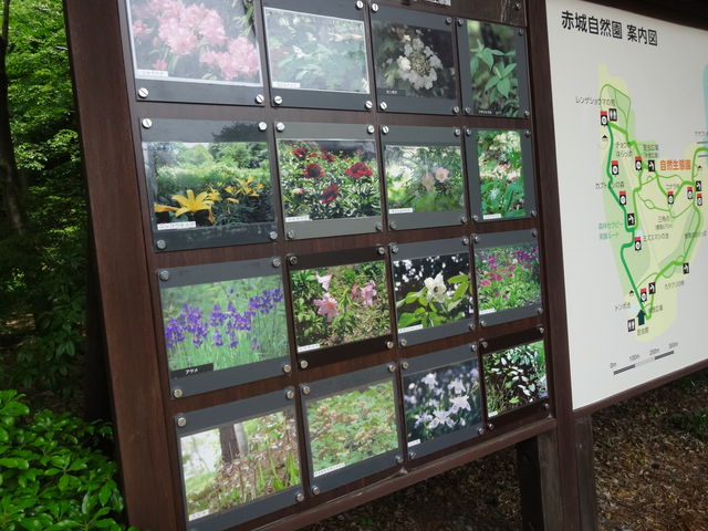 �ē�������܂��B_�ԏ鎩�R��