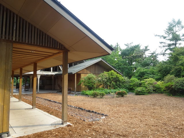 �������Ă����̂Ƃ���ł��B�V�����͂�����Ɛ�������Ă��܂��B_�ԏ鎩�R��